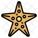 پیش‌نمایش فایل starfish-6986685 از پک تابستان