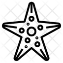 پیش‌نمایش فایل starfish-6986721 از پک تابستان