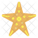 پیش‌نمایش فایل starfish-6986757 از پک تابستان