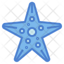 پیش‌نمایش فایل starfish-6986793 از پک تابستان