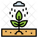 پیش‌نمایش فایل plant-6987038 از پک هوای بارانی