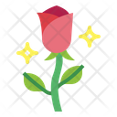 پیش‌نمایش فایل rose-6987626 از پک عشق