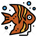 پیش‌نمایش فایل angelfish-6989424 از پک آکواریوم