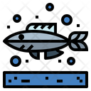 پیش‌نمایش فایل fish-6989436 از پک آکواریوم