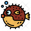 پیش‌نمایش فایل puffer-fish-6989443 از پک آکواریوم