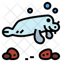 پیش‌نمایش فایل sea-cow-6989444 از پک آکواریوم
