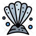 پیش‌نمایش فایل shell-6989449 از پک آکواریوم