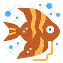 پیش‌نمایش فایل angelfish-6989570 از پک آکواریوم