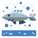 پیش‌نمایش فایل fish-6989582 از پک آکواریوم