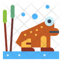 پیش‌نمایش فایل frog-6989583 از پک آکواریوم