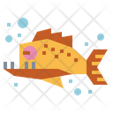 پیش‌نمایش فایل piranha-6989588 از پک آکواریوم
