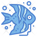 پیش‌نمایش فایل angelfish-6989606 از پک آکواریوم
