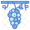 پیش‌نمایش فایل grape-7006814 از پک Pattaya