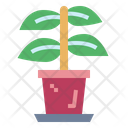 پیش‌نمایش فایل plant-7007802 از پک کارتونیست و انیماتور