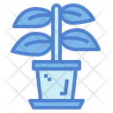 پیش‌نمایش فایل plant-7007838 از پک کارتونیست و انیماتور