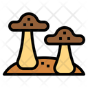 پیش‌نمایش فایل fungi-7010082 از پک پزشکی جایگزین
