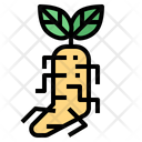 پیش‌نمایش فایل ginseng-7010083 از پک پزشکی جایگزین