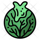 پیش‌نمایش فایل cabbage-7012079 از پک وگان