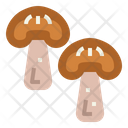 پیش‌نمایش فایل mushrooms-7012162 از پک وگان