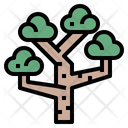 پیش‌نمایش فایل eucalyptus-7012791 از پک درخت