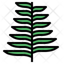 پیش‌نمایش فایل fern-7012792 از پک درخت