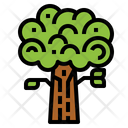 پیش‌نمایش فایل oak-7012802 از پک درخت