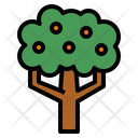 پیش‌نمایش فایل orange-tree-7012803 از پک درخت