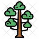 پیش‌نمایش فایل sequoia-7012807 از پک درخت