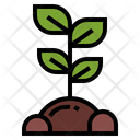 پیش‌نمایش فایل sprout-7012809 از پک درخت