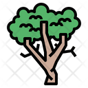 پیش‌نمایش فایل sycamore-7012811 از پک درخت