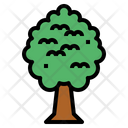 پیش‌نمایش فایل tree-7012812 از پک درخت