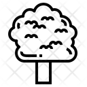 پیش‌نمایش فایل linden-7012834 از پک درخت