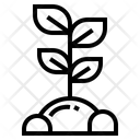 پیش‌نمایش فایل sprout-7012845 از پک درخت