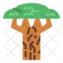 پیش‌نمایش فایل baobab-7012854 از پک درخت