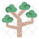 پیش‌نمایش فایل eucalyptus-7012863 از پک درخت