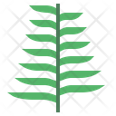 پیش‌نمایش فایل fern-7012864 از پک درخت