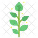 پیش‌نمایش فایل herbs-7012865 از پک درخت
