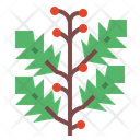 پیش‌نمایش فایل holly-7012866 از پک درخت
