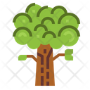 پیش‌نمایش فایل oak-7012874 از پک درخت