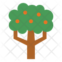 پیش‌نمایش فایل orange-tree-7012875 از پک درخت