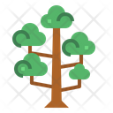پیش‌نمایش فایل sequoia-7012879 از پک درخت