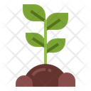 پیش‌نمایش فایل sprout-7012881 از پک درخت
