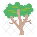 پیش‌نمایش فایل sycamore-7012883 از پک درخت