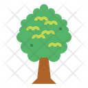 پیش‌نمایش فایل tree-7012884 از پک درخت