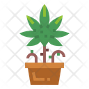 پیش‌نمایش فایل weed-7012885 از پک درخت