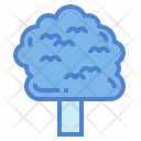 پیش‌نمایش فایل linden-7012906 از پک درخت
