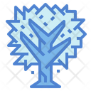 پیش‌نمایش فایل maple-7012909 از پک درخت