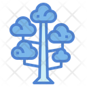 پیش‌نمایش فایل sequoia-7012915 از پک درخت