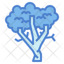 پیش‌نمایش فایل sycamore-7012919 از پک درخت