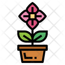 پیش‌نمایش فایل flower-plant-7035811 از پک Eco Bio